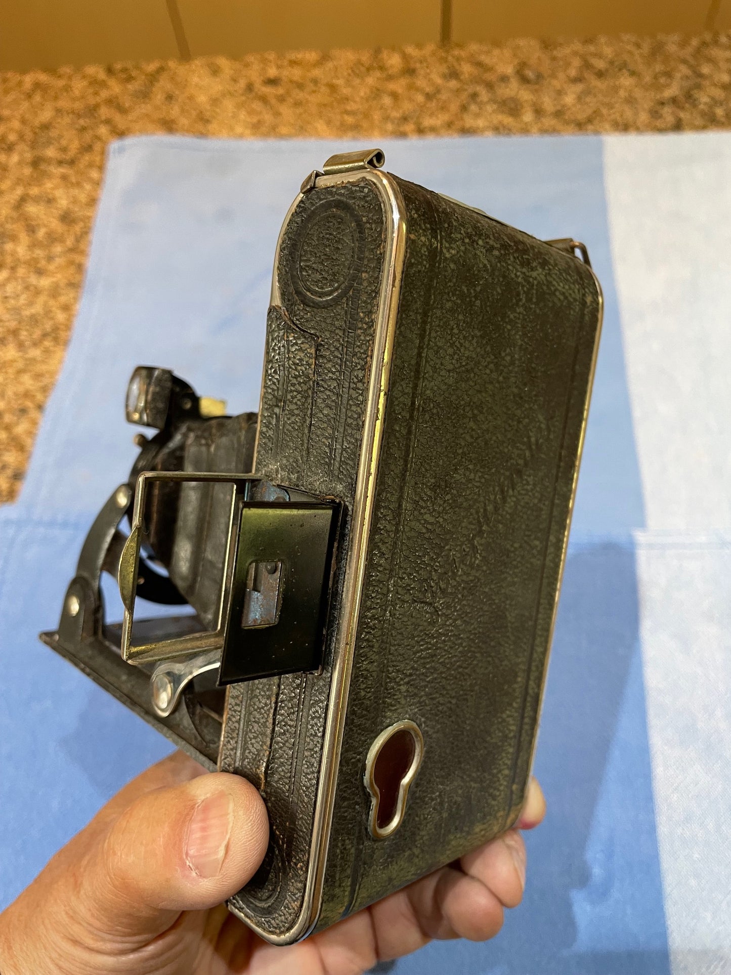 Antigua Cámara Fotográfica De Fuelle Voigtlander